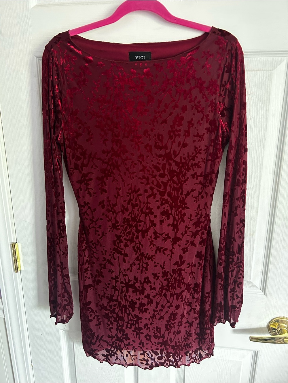 VICI Bed of Roses Burgundy Floral Velvet Mesh Mini Dress Size L